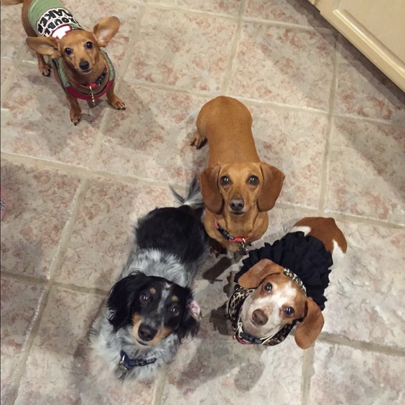 Meet your Posher, Kay - Picture 2 of 3